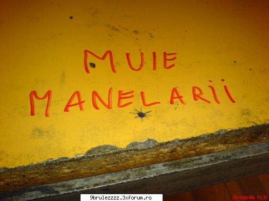 deci..poze - cortezz - baietii si ftl..poze